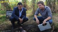 The Glades